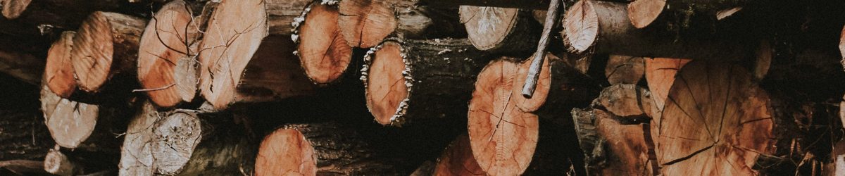 Stacked firewood logs